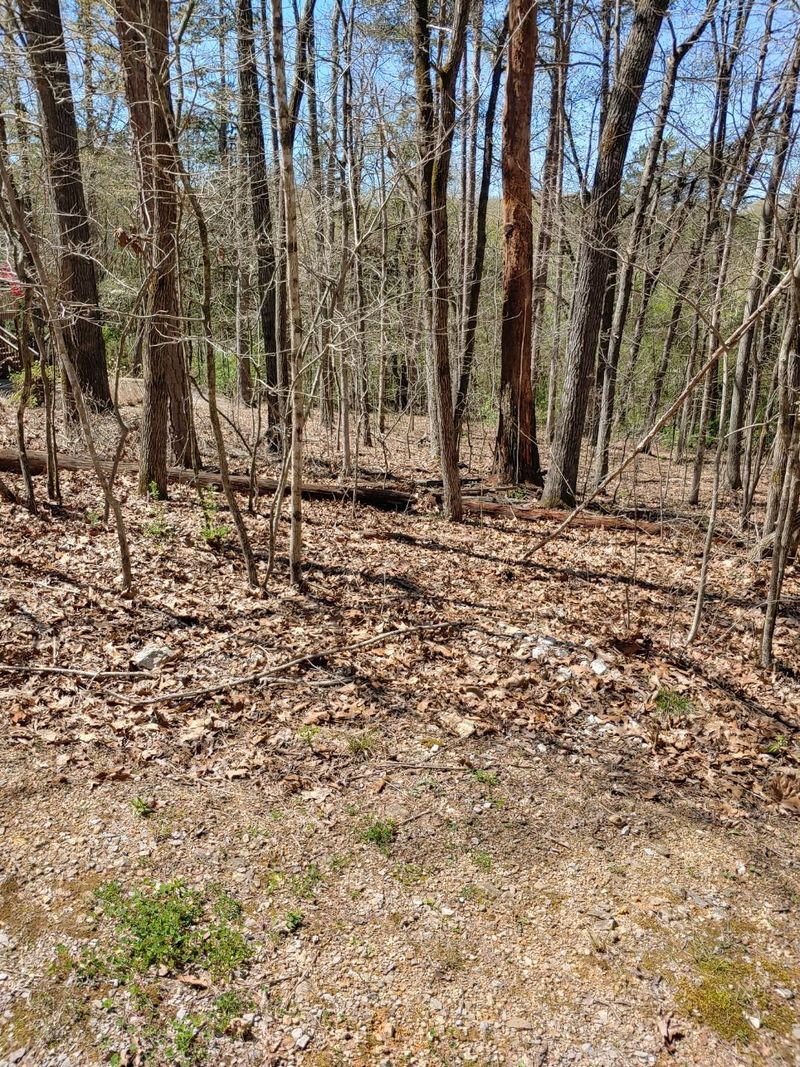 214 Oostanali Way, Loudon, TN 37774