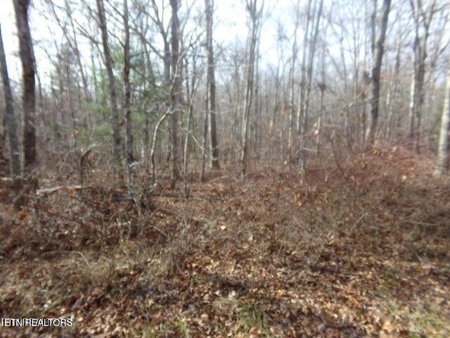 2142 Ona Rd, Crossville, TN 38572
