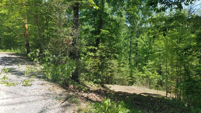 2145 Oakwood Rd, Walland, TN 37886