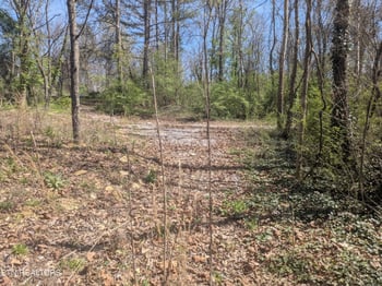 2147 Belt Rd, Knoxville, TN 37920