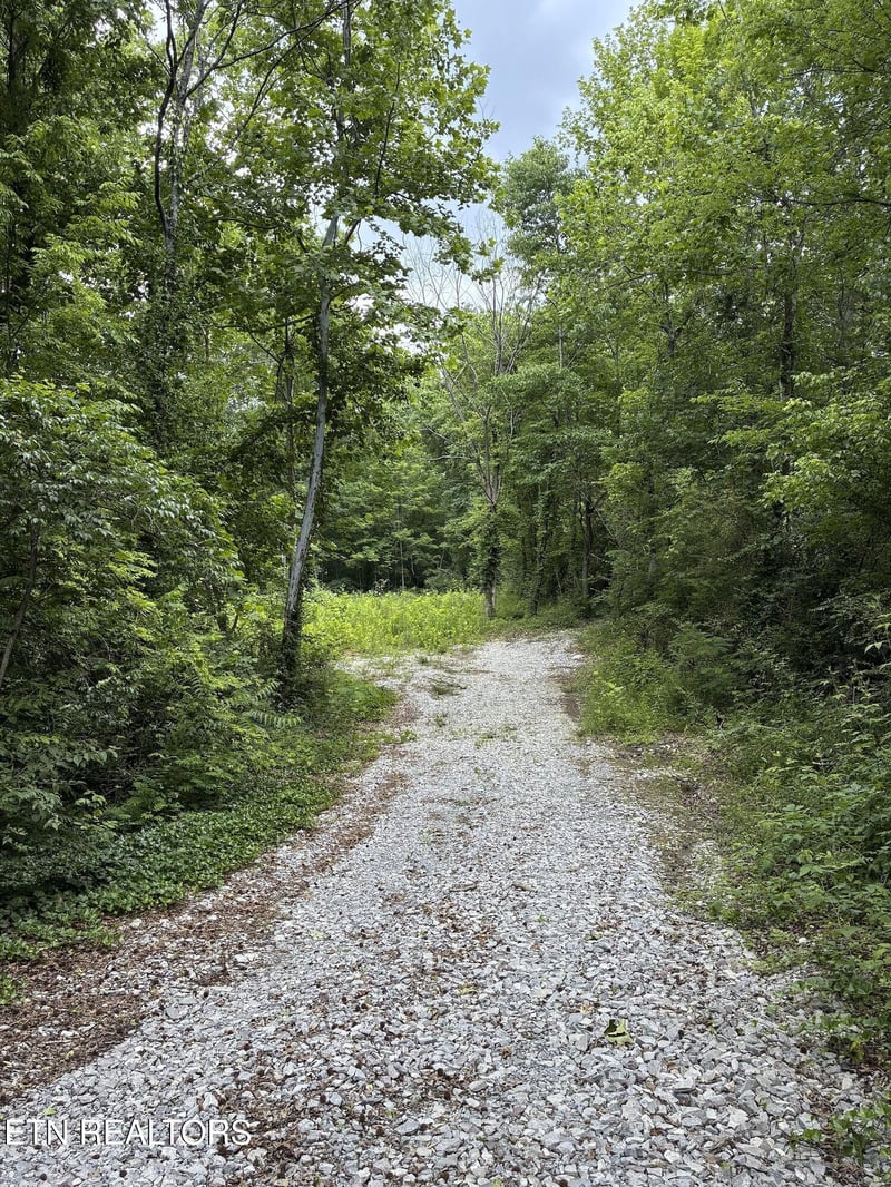 2147 Belt Rd, Knoxville, TN 37920