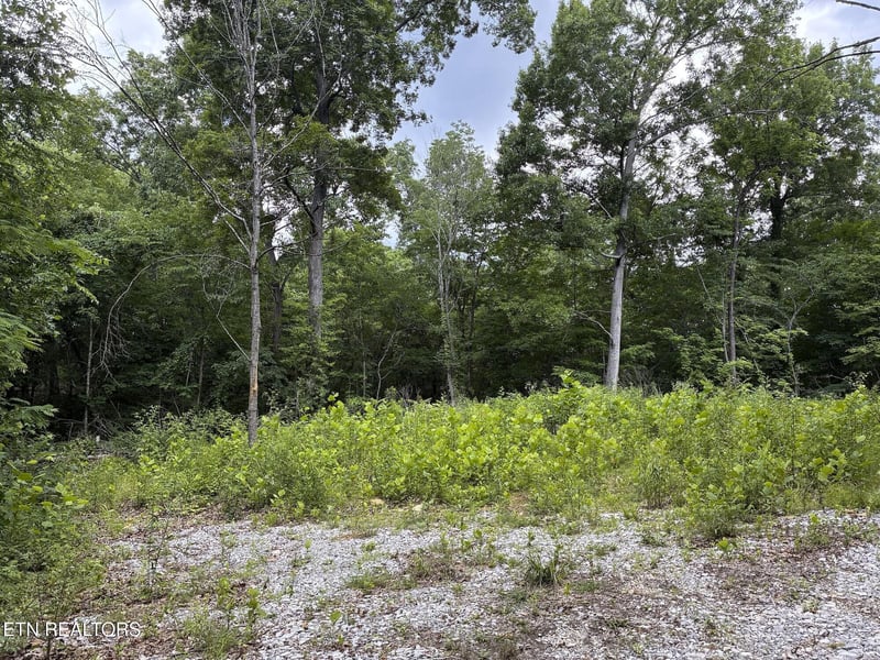 2147 Belt Rd, Knoxville, TN 37920