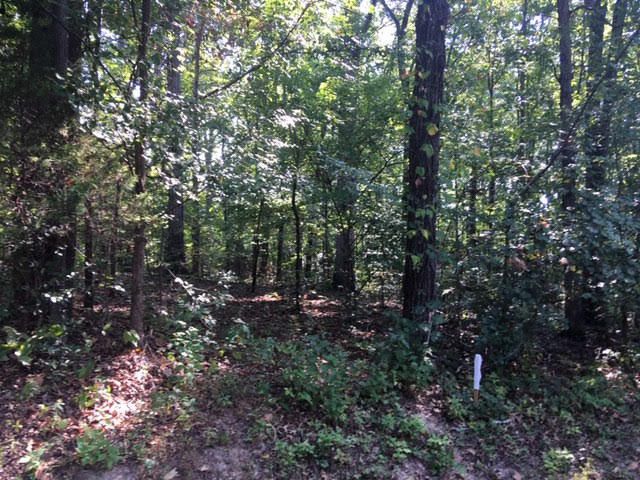 215 Choowa, Loudon, TN 37774