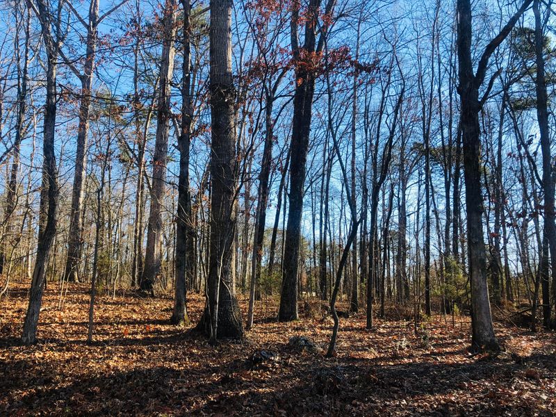 215 Choowa Tc, Loudon, TN 37774