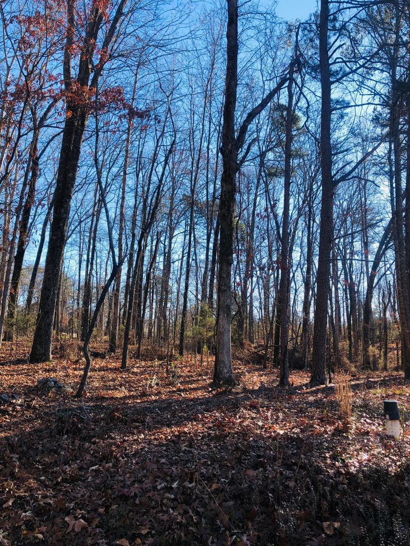 215 Choowa Tc, Loudon, TN 37774
