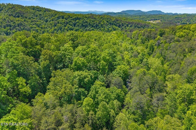 215 Citico Rd Lot 1 Rd, Vonore, TN 37885