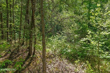215 Citico Rd Lot 1 Rd, Vonore, TN 37885