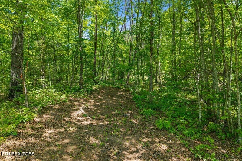 215 Citico Rd Lot 2 Rd, Vonore, TN 37885