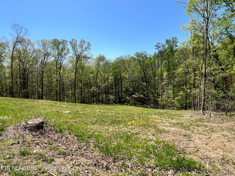 215 Clear Springs Rd, Harriman, TN 37748
