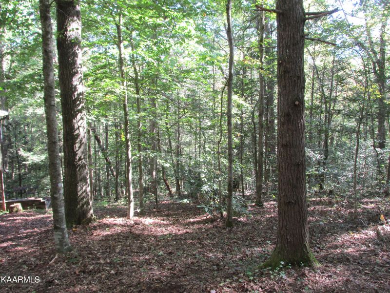 215 Fern Ridge Rd, Townsend, TN 37882