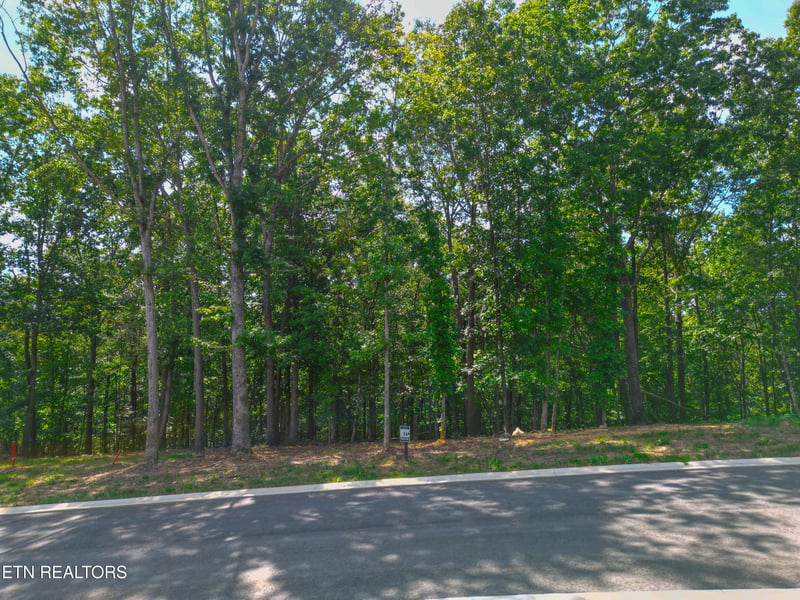215 Flip Flop Way, Loudon, TN 37774