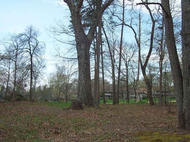 215 Oligi Cir, Loudon, TN 37774