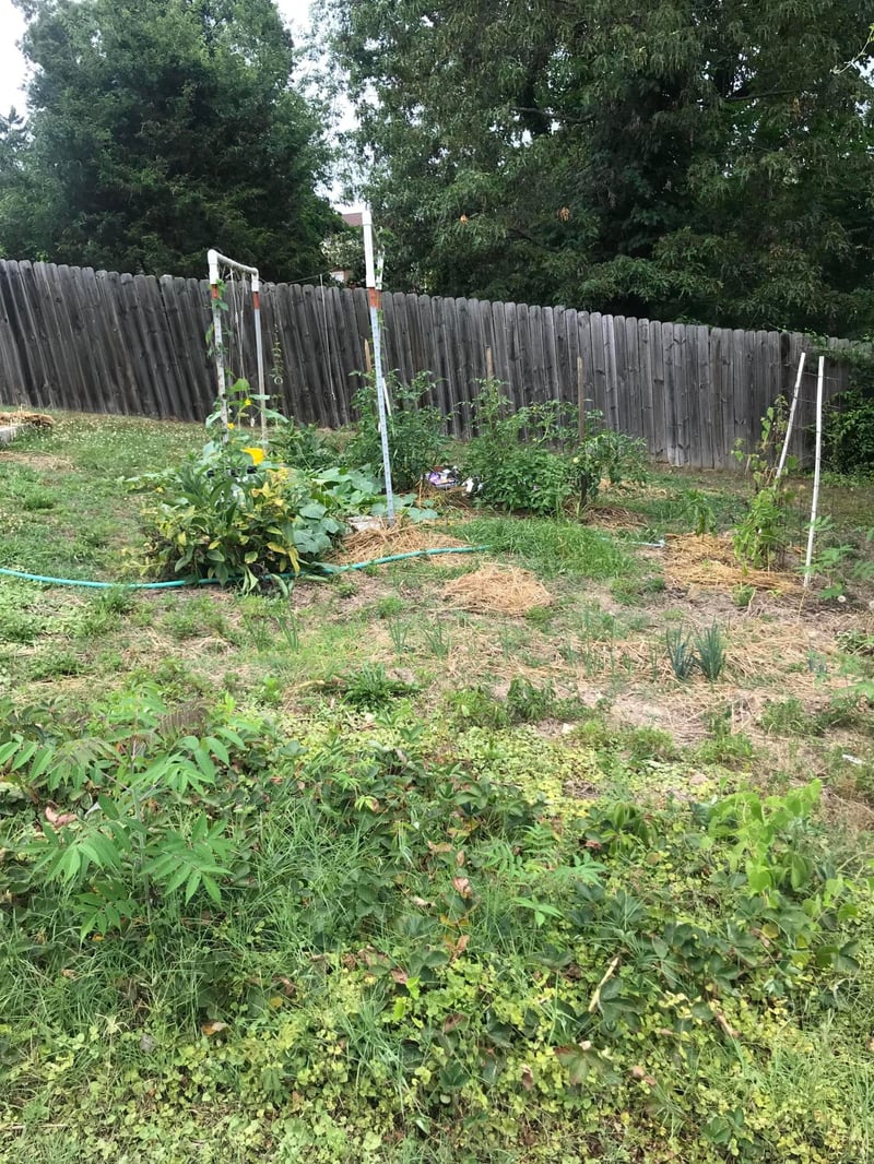 215 Pine St, Clinton, TN 37716