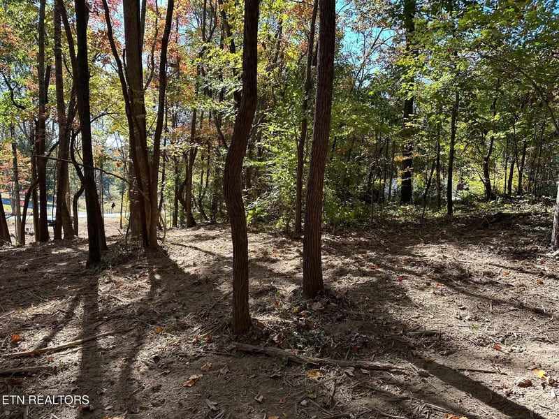 2150 New Corinth Rd, Rutledge, TN 37861