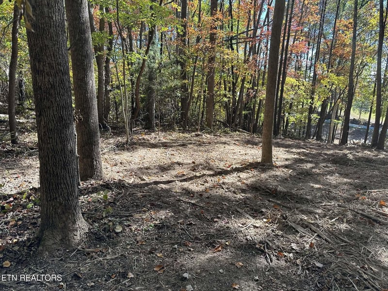 2150 New Corinth Rd, Rutledge, TN 37861
