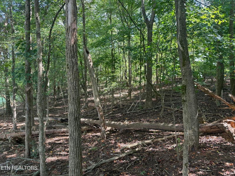 21558 Martel Rd, Lenoir City, TN 37772
