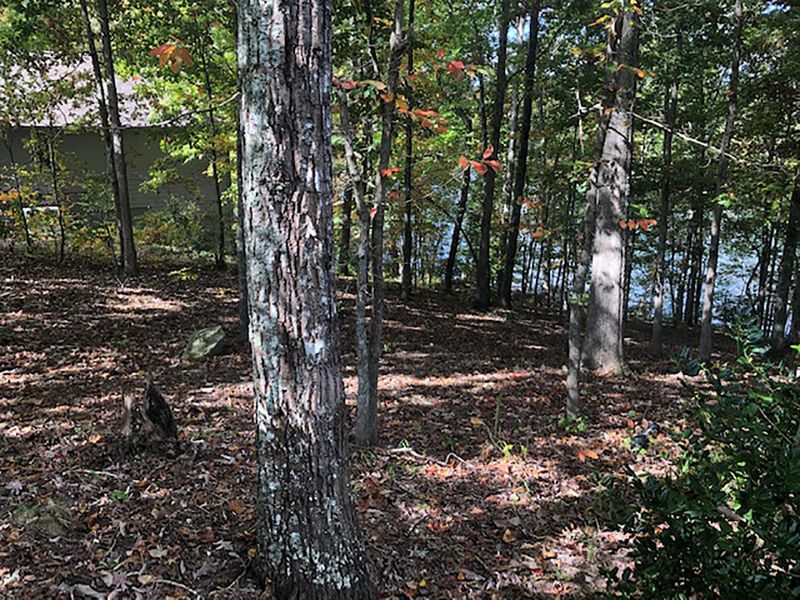 216 Lakeside Dr, Fairfield Glade, TN 38558