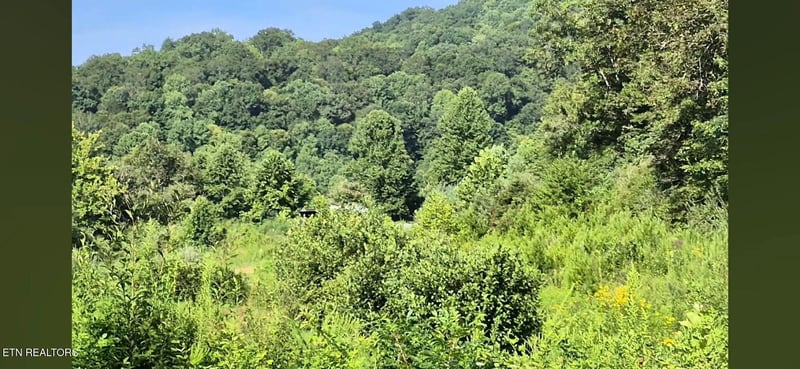 216 Lower Capuchin Rd, Winfield, TN 37892