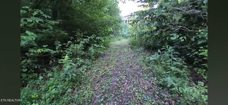 216 Lower Capuchin Rd, Winfield, TN 37892