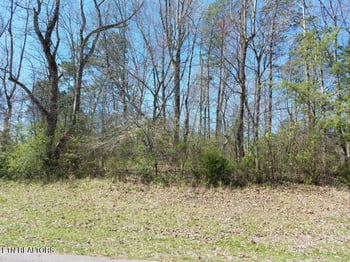 216 Montgomery View Dr, Harriman, TN 37748