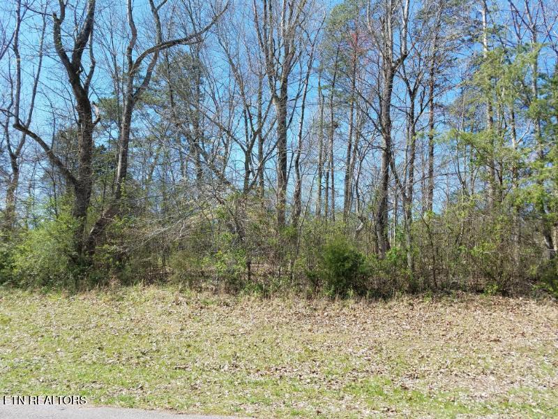 216 Montgomery View Dr, Harriman, TN 37748