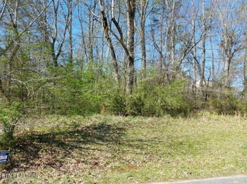 216 Montgomery View Dr, Harriman, TN 37748