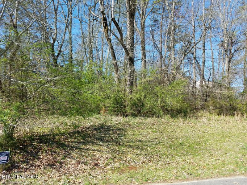 216 Montgomery View Dr, Harriman, TN 37748