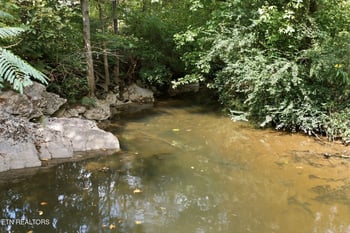216 Sweet Gum Ln, Oak Ridge, TN 37830