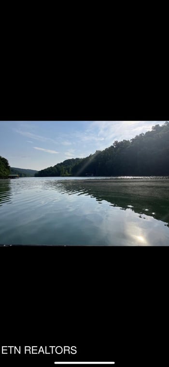 217 Flat Hollow Marina Rd, Speedwell, TN 37870