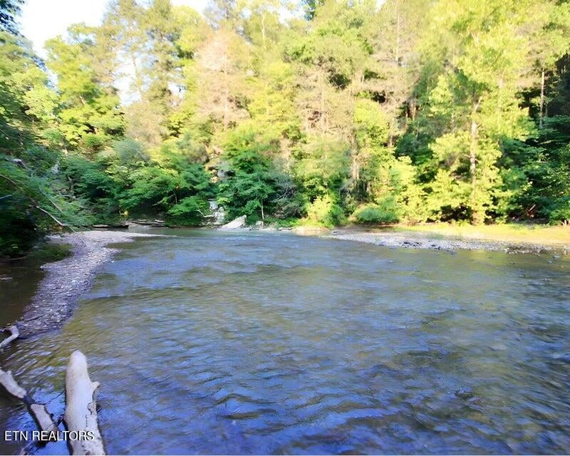 217 Saw Mill Ln, Duff, TN 37729