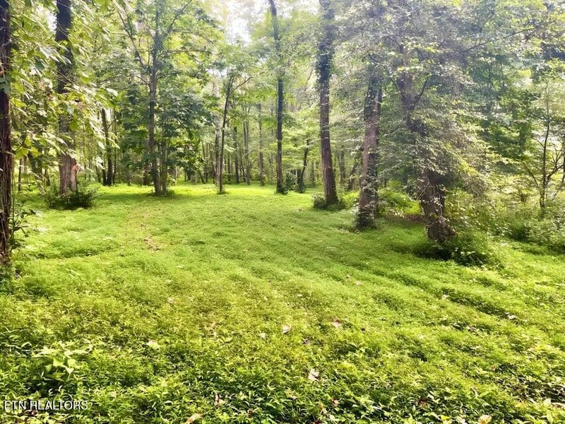 217 Saw Mill Ln, Duff, TN 37729