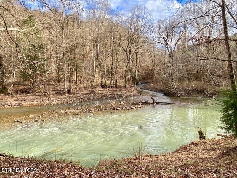 217 Saw Mill Ln, Duff, TN 37729