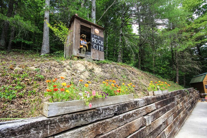 218 Long Branch Rd, Townsend, TN 37882