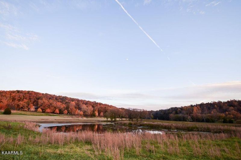 2184 Black Bear Cir, Loudon, TN 37774
