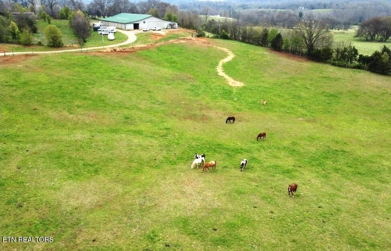 21876 E Coast Tellico Pkwy, Greenback, TN 37742