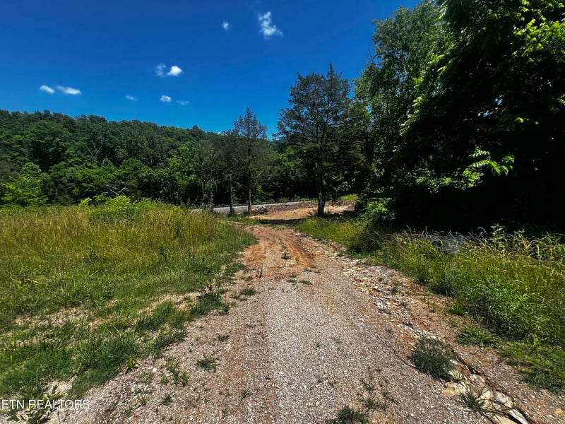 219 Cedar Ave, Luttrell, TN 37779