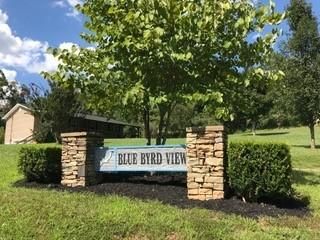 219 Lenz Dr, Kodak, TN 37764