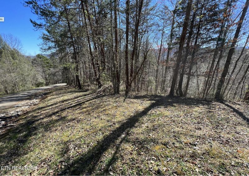 219 Old Cove Rd, Walland, TN 37886
