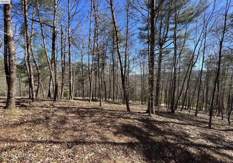 219 Old Cove Rd, Walland, TN 37886