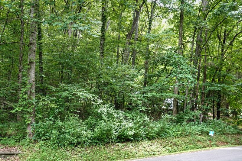 219 Oostanali Way, Loudon, TN 37774