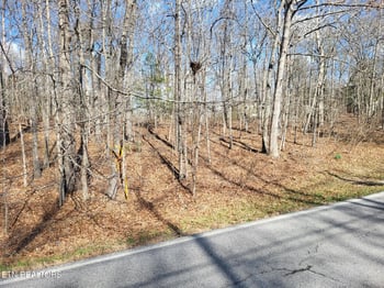 219 St George Dr, Crossville, TN 38558