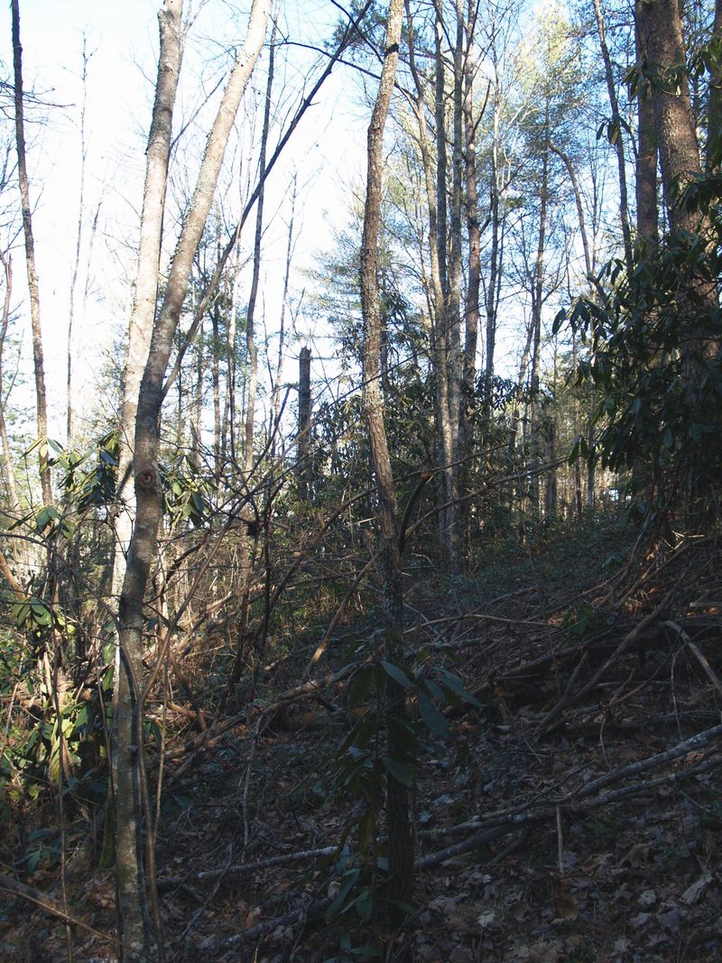 2190 Oakwood Rd, Walland, TN 37886