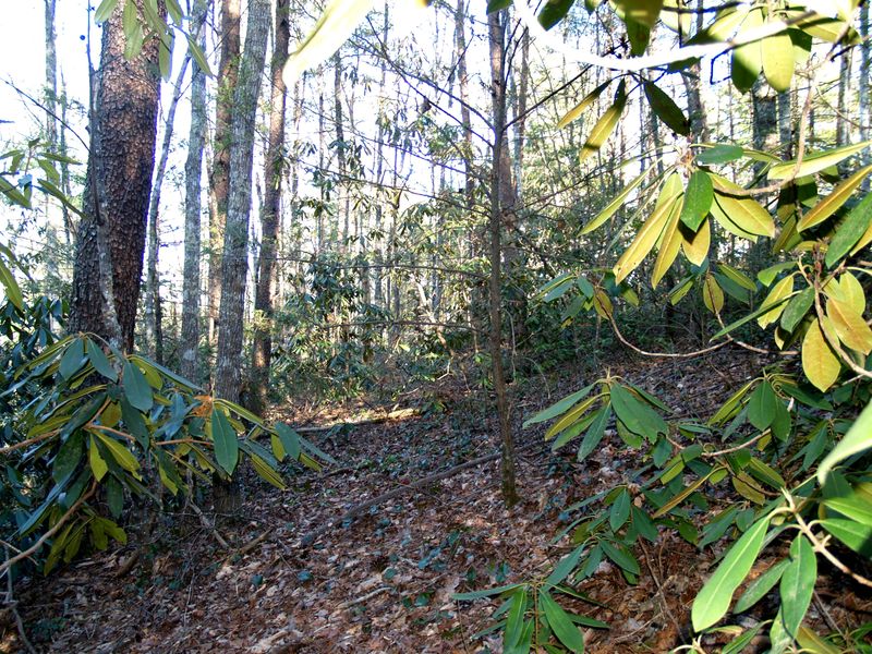 2190 Oakwood Rd, Walland, TN 37886