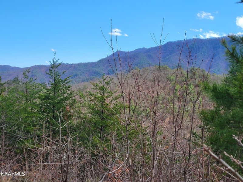 2193 Mount Pleasant Rd, Vonore, TN 37885