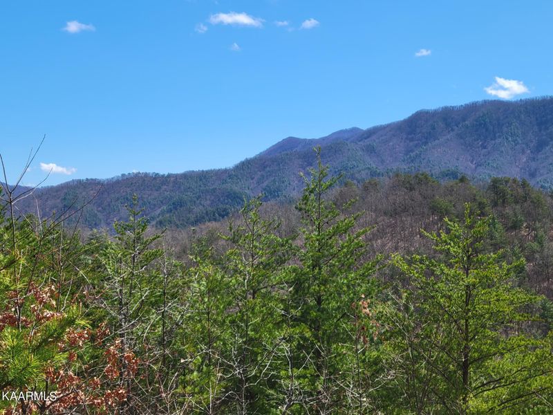 2193 Mount Pleasant Rd, Vonore, TN 37885