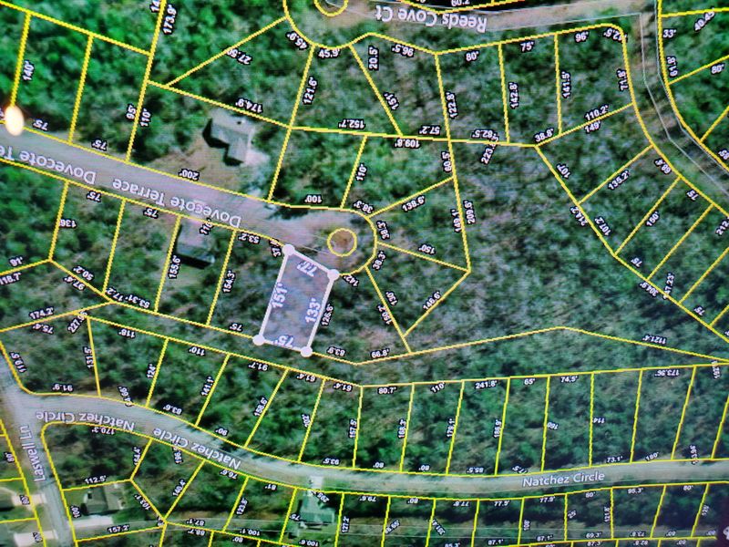 22 Dove Cote Ter, Fairfield Glade, TN 38558