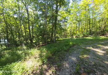 22 Lakeridge Ter, Fairfield Glade, TN 38558