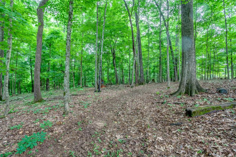 220 Acuff Ln, Blaine, TN 37709