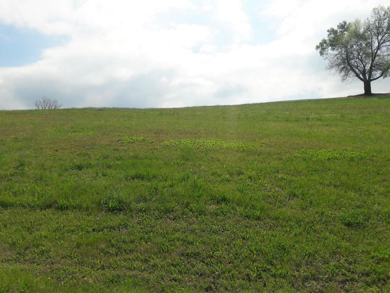 220 Pineberry Dr, Vonore, TN 37885