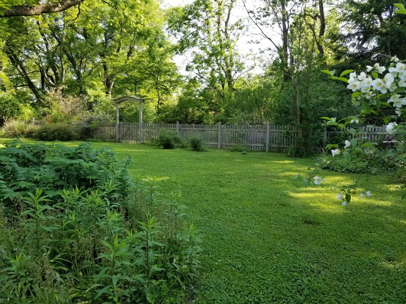220 S Ruth St, Maryville, TN 37803